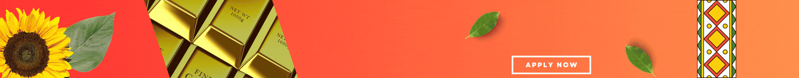 invest cameroon gif 02
